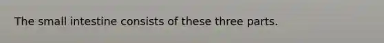 The small intestine consists of these three parts.