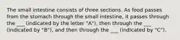 The small intestine consists of three sections. As food passes from the stomach through the small intestine, it passes through the ___ (indicated by the letter "A"), then through the ___ (indicated by "B"), and then through the ___ (indicated by "C").