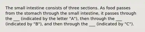 The small intestine consists of three sections. As food passes from the stomach through the small intestine, it passes through the ___ (indicated by the letter "A"), then through the ___ (indicated by "B"), and then through the ___ (indicated by "C").