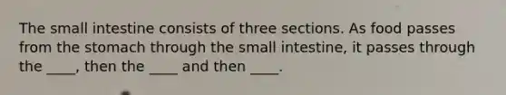 <a href='https://www.questionai.com/knowledge/kt623fh5xn-the-small-intestine' class='anchor-knowledge'>the small intestine</a> consists of three sections. As food passes from <a href='https://www.questionai.com/knowledge/kLccSGjkt8-the-stomach' class='anchor-knowledge'>the stomach</a> through the small intestine, it passes through the ____, then the ____ and then ____.