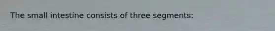 The small intestine consists of three segments: