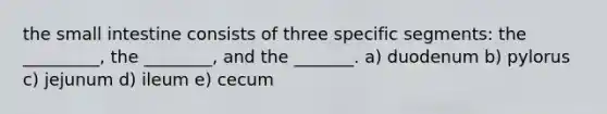 the small intestine consists of three specific segments: the _________, the ________, and the _______. a) duodenum b) pylorus c) jejunum d) ileum e) cecum