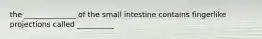 the ______________ of the small intestine contains fingerlike projections called __________