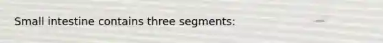 Small intestine contains three segments: