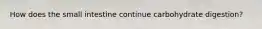 How does the small intestine continue carbohydrate digestion?