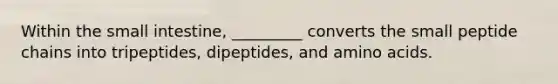 Within the small intestine, _________ converts the small peptide chains into tripeptides, dipeptides, and amino acids.