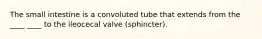 The small intestine is a convoluted tube that extends from the ____ ____ to the ileocecal valve (sphincter).