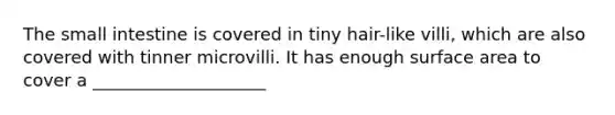 The small intestine is covered in tiny hair-like villi, which are also covered with tinner microvilli. It has enough surface area to cover a ____________________