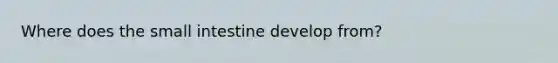 Where does the small intestine develop from?