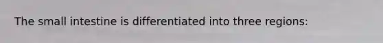 The small intestine is differentiated into three regions:
