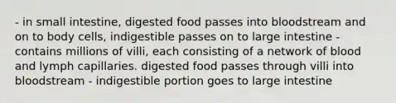 - in small intestine, digested food passes into bloodstream and on to body cells, indigestible passes on to large intestine - contains millions of villi, each consisting of a network of blood and lymph capillaries. digested food passes through villi into bloodstream - indigestible portion goes to large intestine