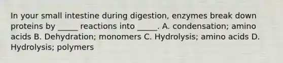 In your small intestine during digestion, enzymes break down proteins by _____ reactions into _____. A. condensation; amino acids B. Dehydration; monomers C. Hydrolysis; amino acids D. Hydrolysis; polymers