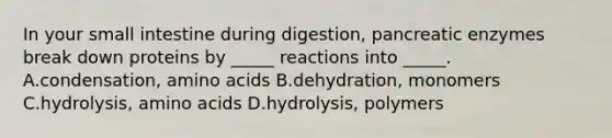 In your small intestine during digestion, pancreatic enzymes break down proteins by _____ reactions into _____. A.condensation, amino acids B.dehydration, monomers C.hydrolysis, amino acids D.hydrolysis, polymers