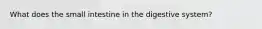 What does the small intestine in the digestive system?