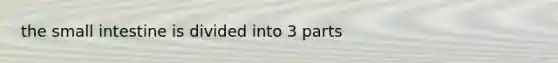 the small intestine is divided into 3 parts