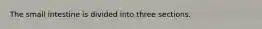 The small intestine is divided into three sections.