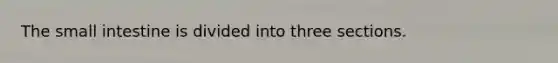 The small intestine is divided into three sections.