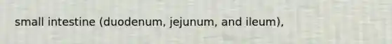 small intestine (duodenum, jejunum, and ileum),