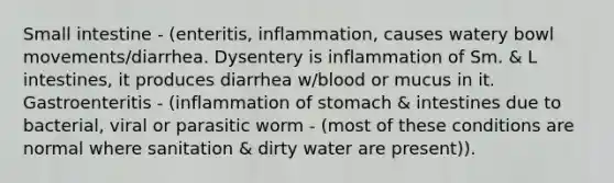 Small intestine - (enteritis, inflammation, causes watery bowl movements/diarrhea. Dysentery is inflammation of Sm. & L intestines, it produces diarrhea w/blood or mucus in it. Gastroenteritis - (inflammation of stomach & intestines due to bacterial, viral or parasitic worm - (most of these conditions are normal where sanitation & dirty water are present)).