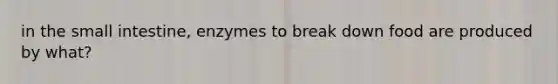 in the small intestine, enzymes to break down food are produced by what?