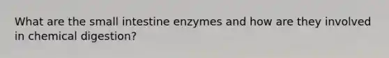 What are the small intestine enzymes and how are they involved in chemical digestion?