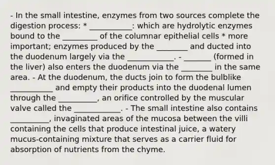 - In <a href='https://www.questionai.com/knowledge/kt623fh5xn-the-small-intestine' class='anchor-knowledge'>the small intestine</a>, enzymes from two sources complete the digestion process: * ___________: which are hydrolytic enzymes bound to the _________ of the columnar epithelial cells * more important; enzymes produced by the ________ and ducted into the duodenum largely via the ____________. - _______ (formed in the liver) also enters the duodenum via the ________ in the same area. - At the duodenum, the ducts join to form the bulblike ___________ and empty their products into the duodenal lumen through the __________, an orifice controlled by the muscular valve called the ____________. - The small intestine also contains __________, invaginated areas of the mucosa between the villi containing the cells that produce intestinal juice, a watery mucus-containing mixture that serves as a carrier fluid for absorption of nutrients from the chyme.