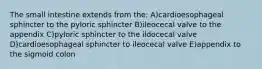 The small intestine extends from the: A)cardioesophageal sphincter to the pyloric sphincter B)ileocecal valve to the appendix C)pyloric sphincter to the ildocecal valve D)cardioesophageal sphincter to ileocecal valve E)appendix to the sigmoid colon