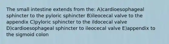 The small intestine extends from the: A)cardioesophageal sphincter to the pyloric sphincter B)ileocecal valve to the appendix C)pyloric sphincter to the ildocecal valve D)cardioesophageal sphincter to ileocecal valve E)appendix to the sigmoid colon