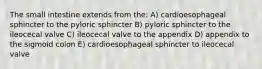 The small intestine extends from the: A) cardioesophageal sphincter to the pyloric sphincter B) pyloric sphincter to the ileocecal valve C) ileocecal valve to the appendix D) appendix to the sigmoid colon E) cardioesophageal sphincter to ileocecal valve