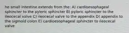 he small intestine extends from the: A) cardioesophageal sphincter to the pyloric sphincter B) pyloric sphincter to the ileocecal valve C) ileocecal valve to the appendix D) appendix to the sigmoid colon E) cardioesophageal sphincter to ileocecal valve