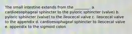 The small intestine extends from the ________. a. cardioesophageal sphincter to the pyloric sphincter (valve) b. pyloric sphincter (valve) to the ileocecal valve c. ileocecal valve to the appendix d. cardioesophageal sphincter to ileocecal valve e. appendix to the sigmoid colon