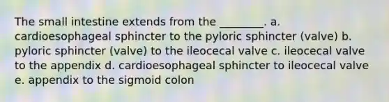 The small intestine extends from the ________. a. cardioesophageal sphincter to the pyloric sphincter (valve) b. pyloric sphincter (valve) to the ileocecal valve c. ileocecal valve to the appendix d. cardioesophageal sphincter to ileocecal valve e. appendix to the sigmoid colon