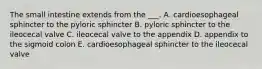 The small intestine extends from the ___. A. cardioesophageal sphincter to the pyloric sphincter B. pyloric sphincter to the ileocecal valve C. ileocecal valve to the appendix D. appendix to the sigmoid colon E. cardioesophageal sphincter to the ileocecal valve