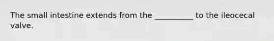 The small intestine extends from the __________ to the ileocecal valve.