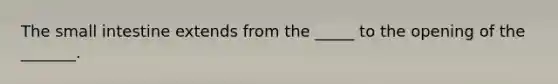 The small intestine extends from the _____ to the opening of the _______.