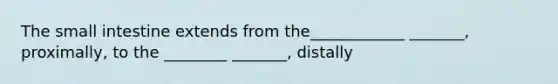 The small intestine extends from the____________ _______, proximally, to the ________ _______, distally