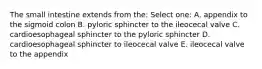 The small intestine extends from the: Select one: A. appendix to the sigmoid colon B. pyloric sphincter to the ileocecal valve C. cardioesophageal sphincter to the pyloric sphincter D. cardioesophageal sphincter to ileocecal valve E. ileocecal valve to the appendix