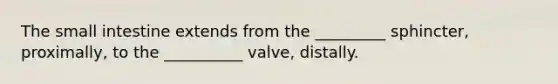 The small intestine extends from the _________ sphincter, proximally, to the __________ valve, distally.