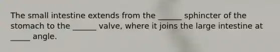 The small intestine extends from the ______ sphincter of the stomach to the ______ valve, where it joins the large intestine at _____ angle.