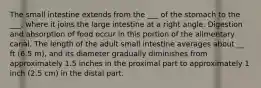 The small intestine extends from the ___ of the stomach to the ___, where it joins the large intestine at a right angle. Digestion and absorption of food occur in this portion of the alimentary canal. The length of the adult small intestine averages about __ ft (6.5 m), and its diameter gradually diminishes from approximately 1.5 inches in the proximal part to approximately 1 inch (2.5 cm) in the distal part.