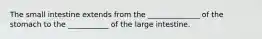 The small intestine extends from the ______________ of the stomach to the ___________ of the large intestine.