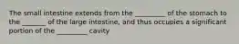 The small intestine extends from the _________ of the stomach to the _______ of the large intestine, and thus occupies a significant portion of the _________ cavity