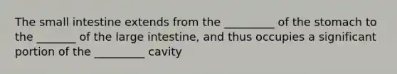 <a href='https://www.questionai.com/knowledge/kt623fh5xn-the-small-intestine' class='anchor-knowledge'>the small intestine</a> extends from the _________ of <a href='https://www.questionai.com/knowledge/kLccSGjkt8-the-stomach' class='anchor-knowledge'>the stomach</a> to the _______ of the <a href='https://www.questionai.com/knowledge/kGQjby07OK-large-intestine' class='anchor-knowledge'>large intestine</a>, and thus occupies a significant portion of the _________ cavity