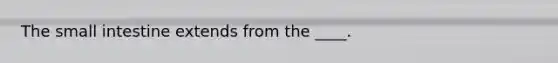The small intestine extends from the ____.