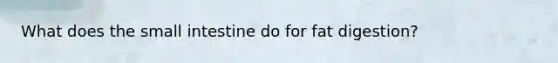 What does the small intestine do for fat digestion?