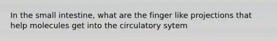 In the small intestine, what are the finger like projections that help molecules get into the circulatory sytem