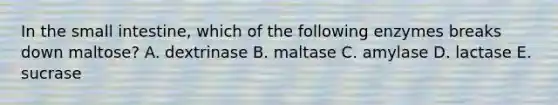 In the small intestine, which of the following enzymes breaks down maltose? A. dextrinase B. maltase C. amylase D. lactase E. sucrase