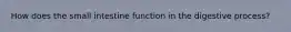 How does the small intestine function in the digestive process?