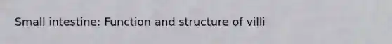 Small intestine: Function and structure of villi