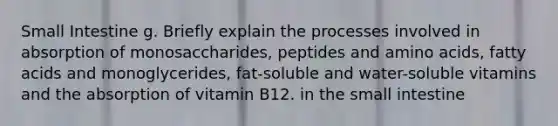 Small Intestine g. Briefly explain the processes involved in absorption of monosaccharides, peptides and amino acids, fatty acids and monoglycerides, fat-soluble and water-soluble vitamins and the absorption of vitamin B12. in the small intestine